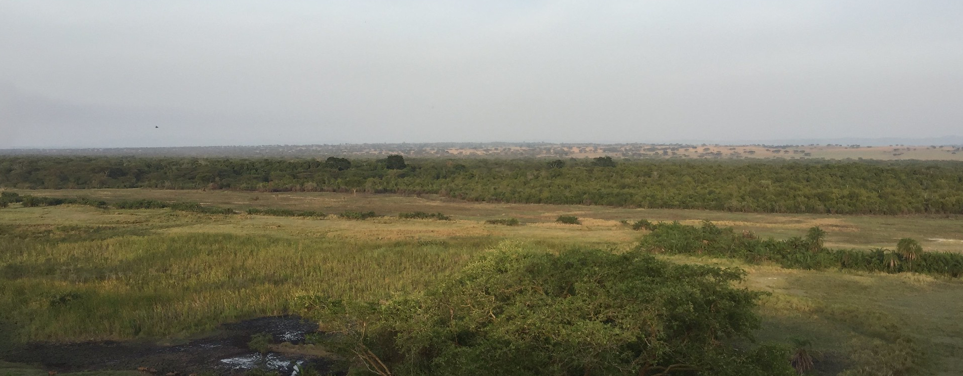 African wilderness safaris - East Africa