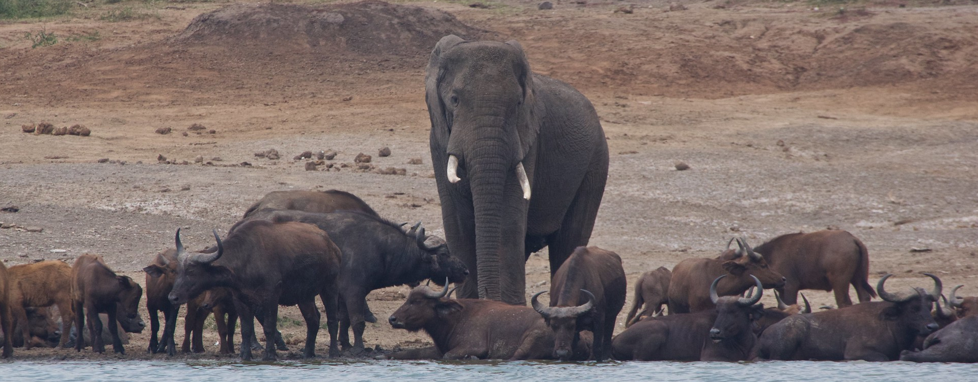 Tanzania self drive safaris to Ruaha from Dar es Salaam