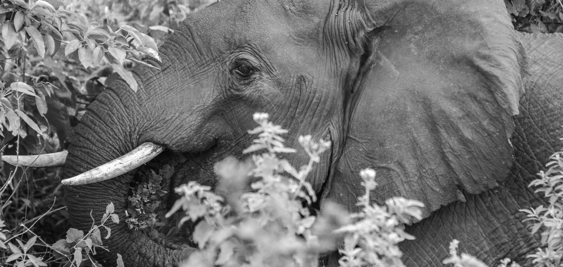 4x4 Self drive Safaris in Tanzania - Katavi national Park