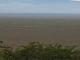 Serengeti wildebeest migration