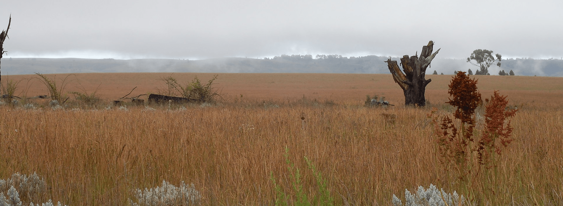 The Freedom of a Self-Drive Safari in Tanzania
