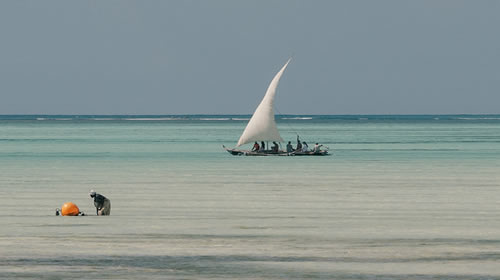 Nakupenda-Island-Zanzibar Tanzania safaris