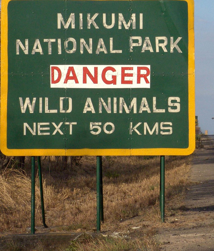 Mikumi National Park Tanzania