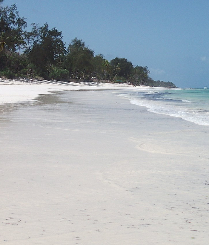 Zanzibr Beach Tanzania