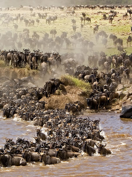 21 Days Self driveTanzania & Wildlife Safaris