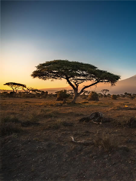 30 Days Best of Tanzania Self drive Adventure Safari