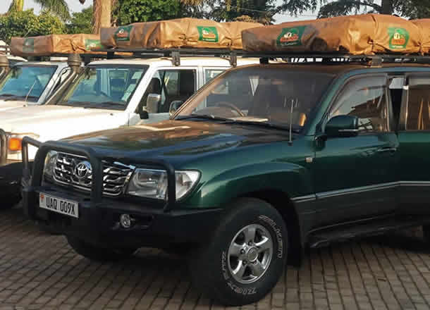The Toyota Land Cruiser lineup includes various models, all of which are suitable for road use. Among them, the Land Cruiser GX stands out as one of the most efficient 4×4 vehicles for self-drive trips in Tanzania.