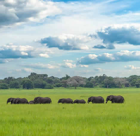 Katavi National Park is tucked away in the remote southwestern corner of Tanzania