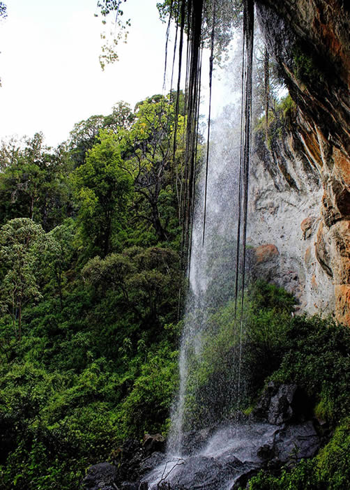 The Usambara Mountains are Tanzania's most underrated safari destination. Explore rainforests, rare birds & epic viewpoints — self-drive or guided, we help you plan.