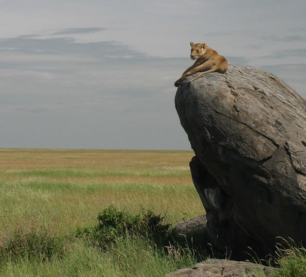 Serengeti National Park, Tanzania