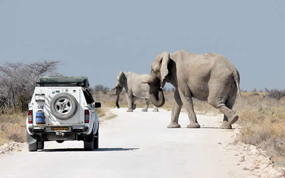 Tanzania’s Self-Drive & Car with Driver Specialists