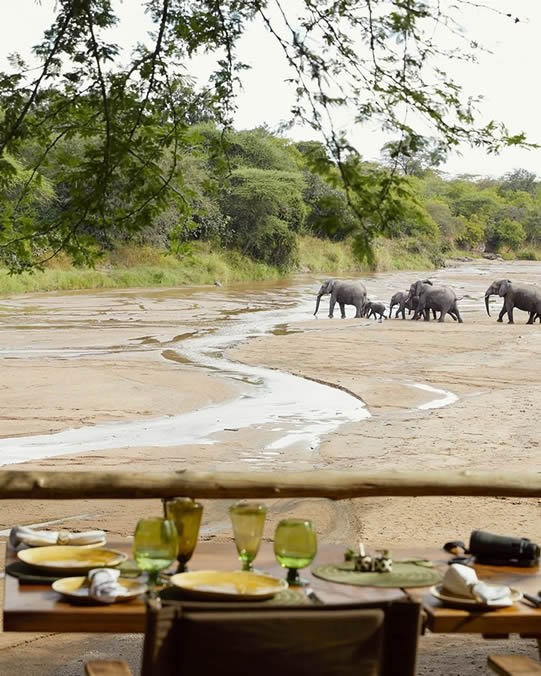Ruaha National Park: vast, remote, and unforgettable. Join the few who self-drive Tanzania's biggest national park with a rooftop tent 4x4. Plan your adventure today.