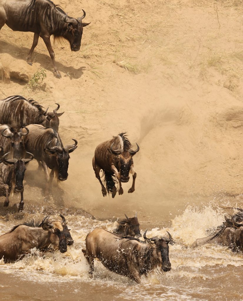 Serengeti National Park