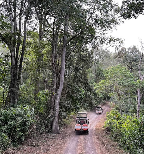 Explore Arusha National Park on a self-drive safari. Discover giraffes, crater lakes & Mount Meru. Rent a 4×4 from Dar es Salaam or Arusha today