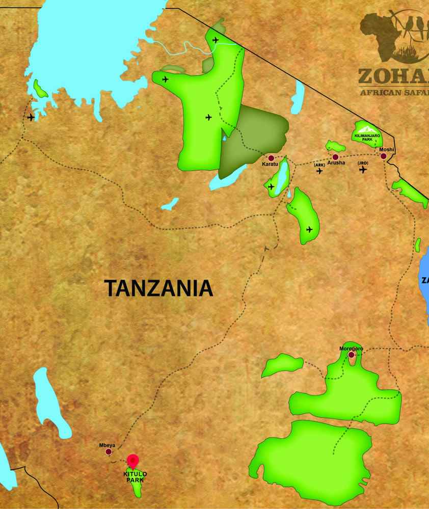 Plan a 4×4 self-drive safari to Kitulo National Park, Tanzania's 'Garden of God.' Driving routes from Dar es Salaam, 4×4 hire rates, camping tips & best travel months