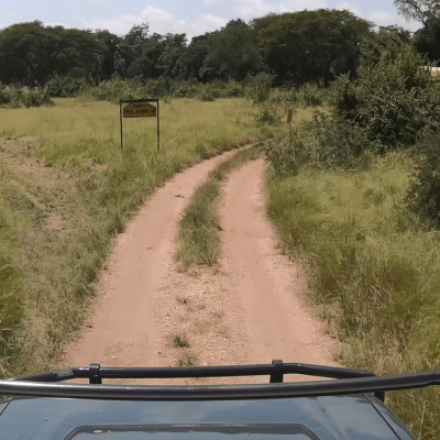 Africa-4x4-Safaris-Tanzania-Self-drive-Tours